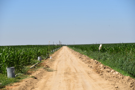 Enlarge photo 19