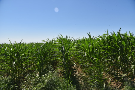 Enlarge photo 26