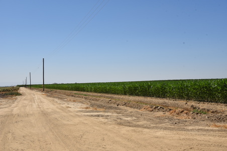 Enlarge photo 41