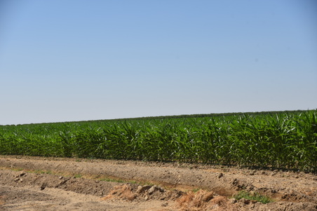 Enlarge photo 42