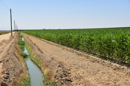 Enlarge photo 44