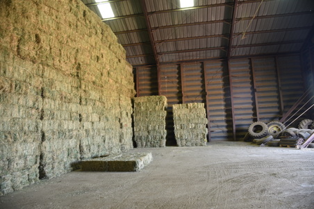 Enlarge photo 7