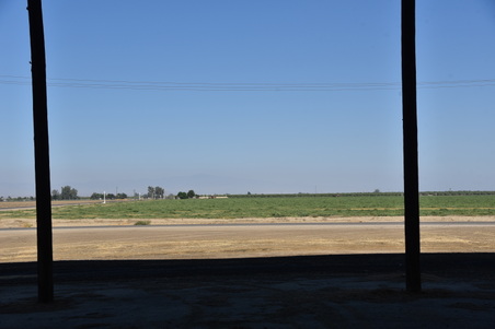 Enlarge photo 41