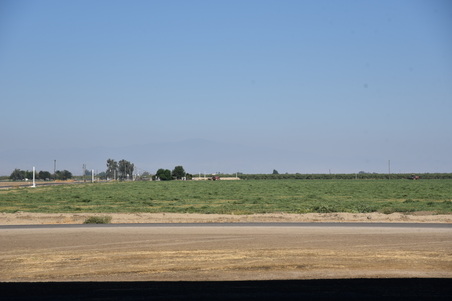 Enlarge photo 42