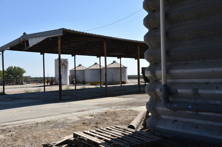 Enlarge photo 45