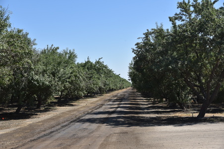 Enlarge photo 19