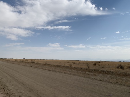 Enlarge photo 16