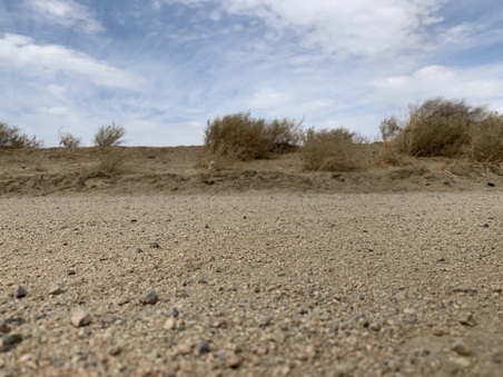 Enlarge photo 16