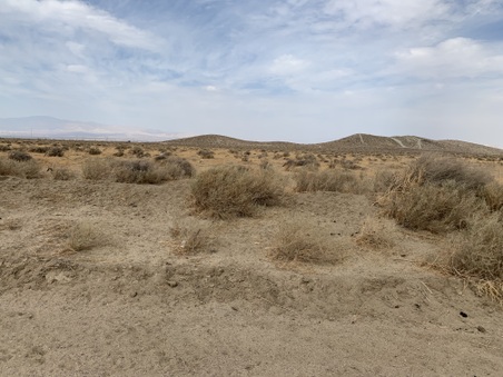 Enlarge photo 17