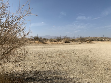Enlarge photo 16