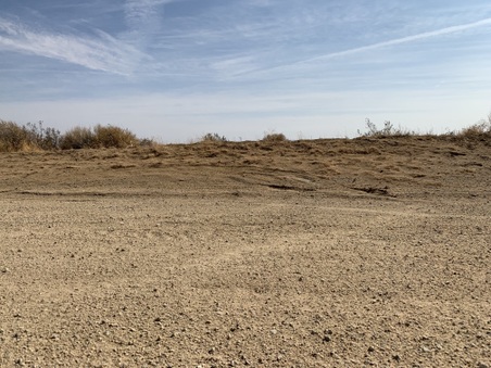 Enlarge photo 31
