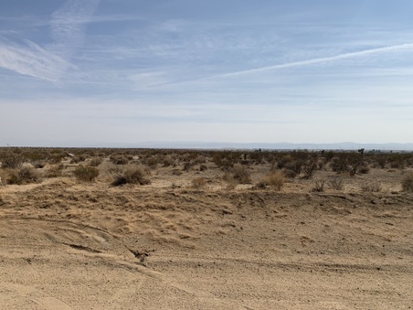 Enlarge photo 35