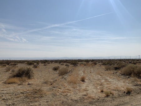 Enlarge photo 6