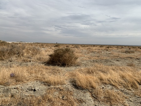 Enlarge photo 19