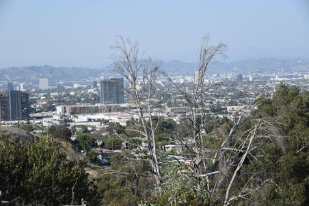 Enlarge photo 18