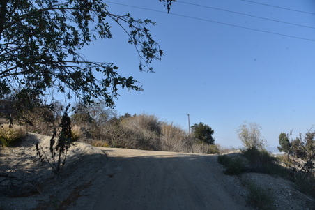 Enlarge photo 29