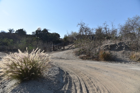 Enlarge photo 30
