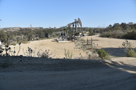 Enlarge photo 33