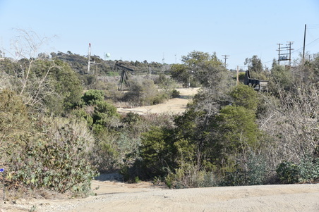 Enlarge photo 36