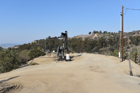 Enlarge photo 41