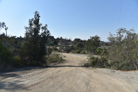 Enlarge photo 42