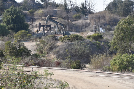 Enlarge photo 43