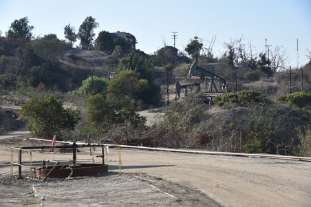 Enlarge photo 47