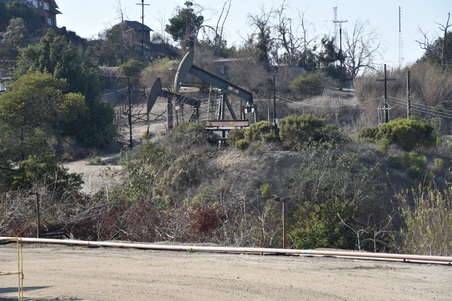 Enlarge photo 48