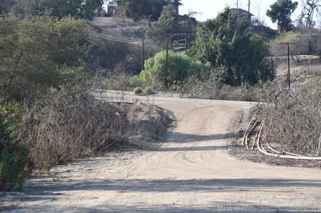Enlarge photo 52