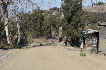 Enlarge photo 55