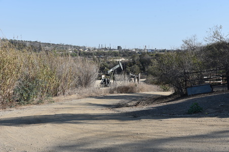 Enlarge photo 59