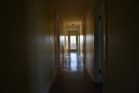 Enlarge photo 86