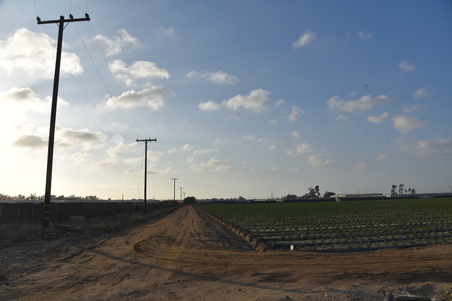 Enlarge photo 11