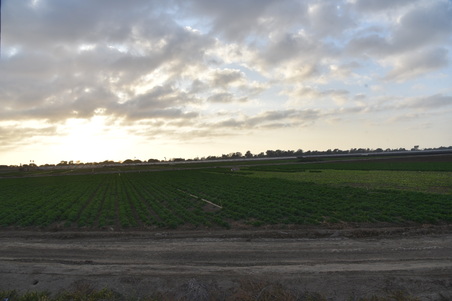 Enlarge photo 14