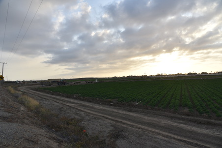 Enlarge photo 15