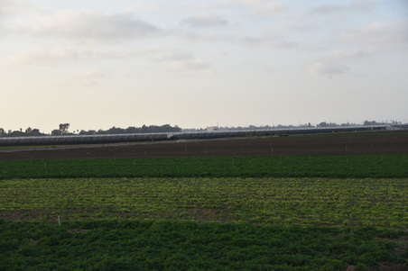 Enlarge photo 18