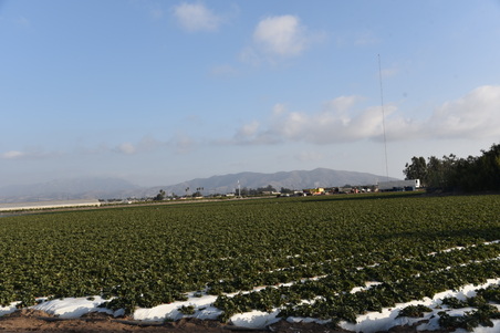 Enlarge photo 6