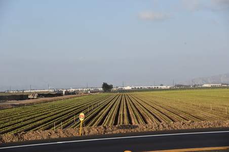 Enlarge photo 12