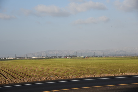 Enlarge photo 15