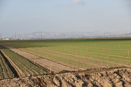 Enlarge photo 22