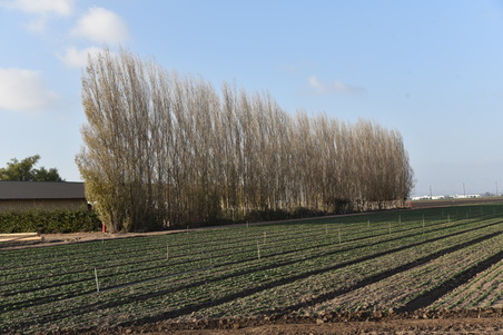 Enlarge photo 24