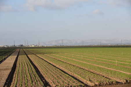 Enlarge photo 26