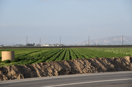 Enlarge photo 31