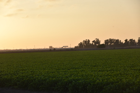 Enlarge photo 13