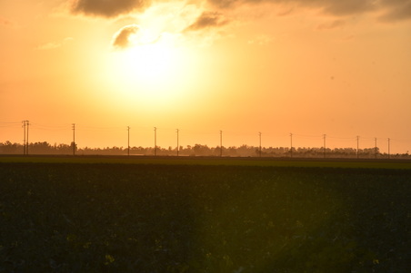 Enlarge photo 17