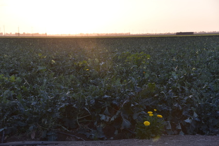 Enlarge photo 18