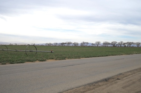 Enlarge photo 30