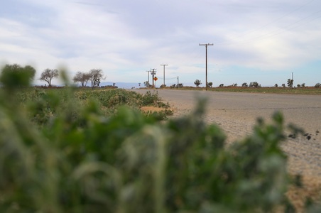 Enlarge photo 34