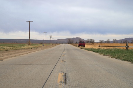 Enlarge photo 41