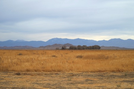 Enlarge photo 43
